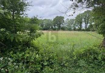 463078-Vorschaubild3