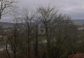 461995-Vorschaubild4