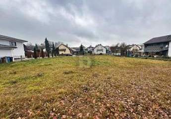 463193-Vorschaubild3