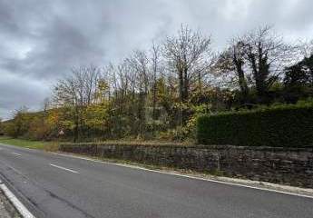 461623-Vorschaubild2