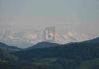 463893-Vorschaubild2