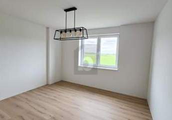 463894-Vorschaubild4