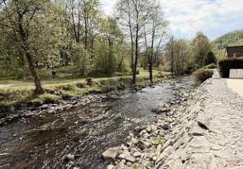 463896-Vorschaubild2