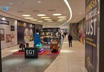 462036-Vorschaubild3