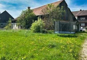 464084-Vorschaubild2