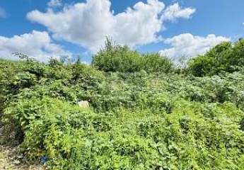 463008-Vorschaubild2