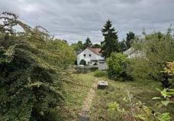 464360-Vorschaubild3