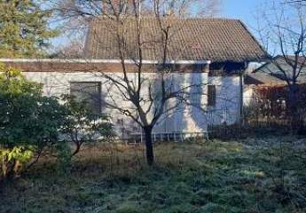 464649-Vorschaubild2