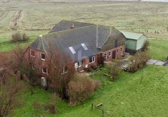 464773-Vorschaubild4