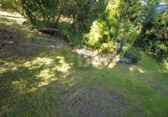 464530-Vorschaubild3