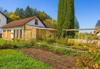 461531-Vorschaubild2