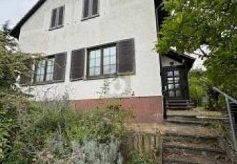 464360-Vorschaubild4