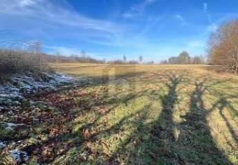 464386-Vorschaubild4