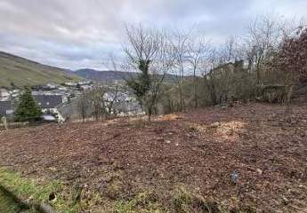 464396-Vorschaubild3