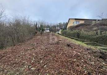 464396-Vorschaubild4