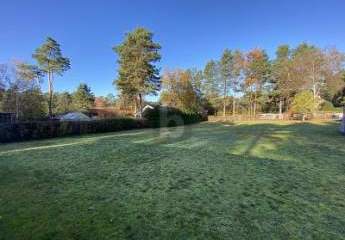 464406-Vorschaubild3