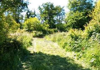 463689-Vorschaubild3