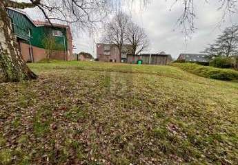 464922-Vorschaubild2