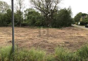 464085-Vorschaubild3