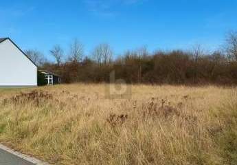 464997-Vorschaubild2