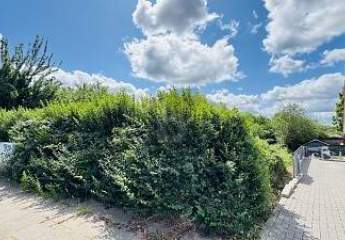 463008-Vorschaubild3