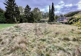 462405-Vorschaubild2