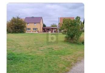 462407-Vorschaubild4