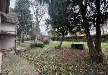 464431-Vorschaubild4