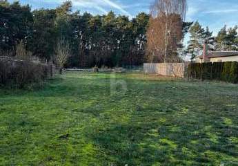 463414-Vorschaubild2