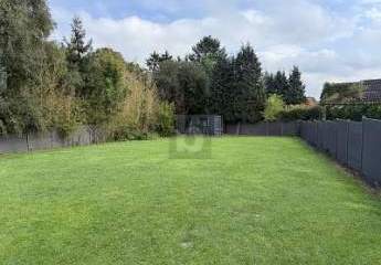 463197-Vorschaubild2