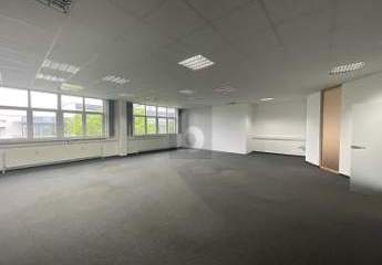 462086-Vorschaubild3