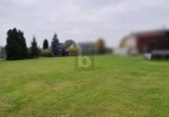 461546-Vorschaubild4