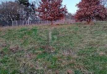 462108-Vorschaubild3