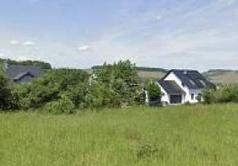 465069-Vorschaubild4