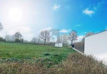 465467-Vorschaubild2