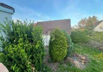 465929-Vorschaubild2