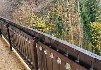 465940-Vorschaubild2