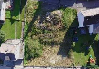 466265-Vorschaubild3