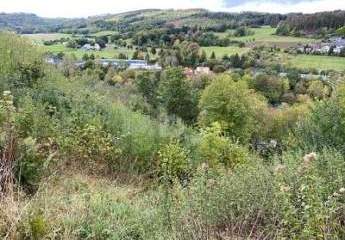 465341-Vorschaubild2