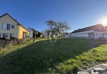 466275-Vorschaubild4