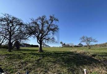 466294-Vorschaubild3