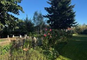 466755-Vorschaubild4