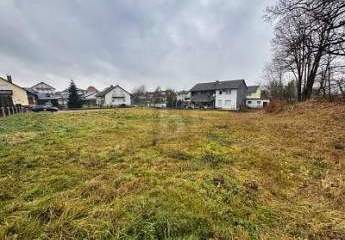 466351-Vorschaubild2