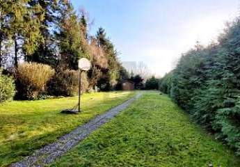 466795-Vorschaubild3