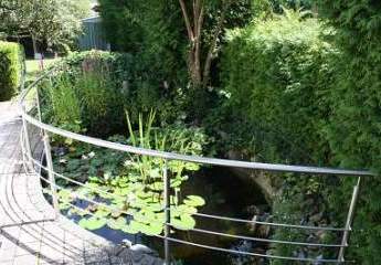 466261-Vorschaubild3