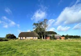 466299-Vorschaubild2