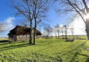 466299-Vorschaubild3