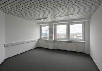 466791-Vorschaubild2