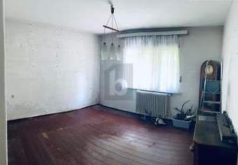 466353-Vorschaubild4