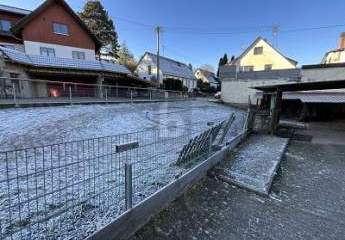 465561-Vorschaubild3